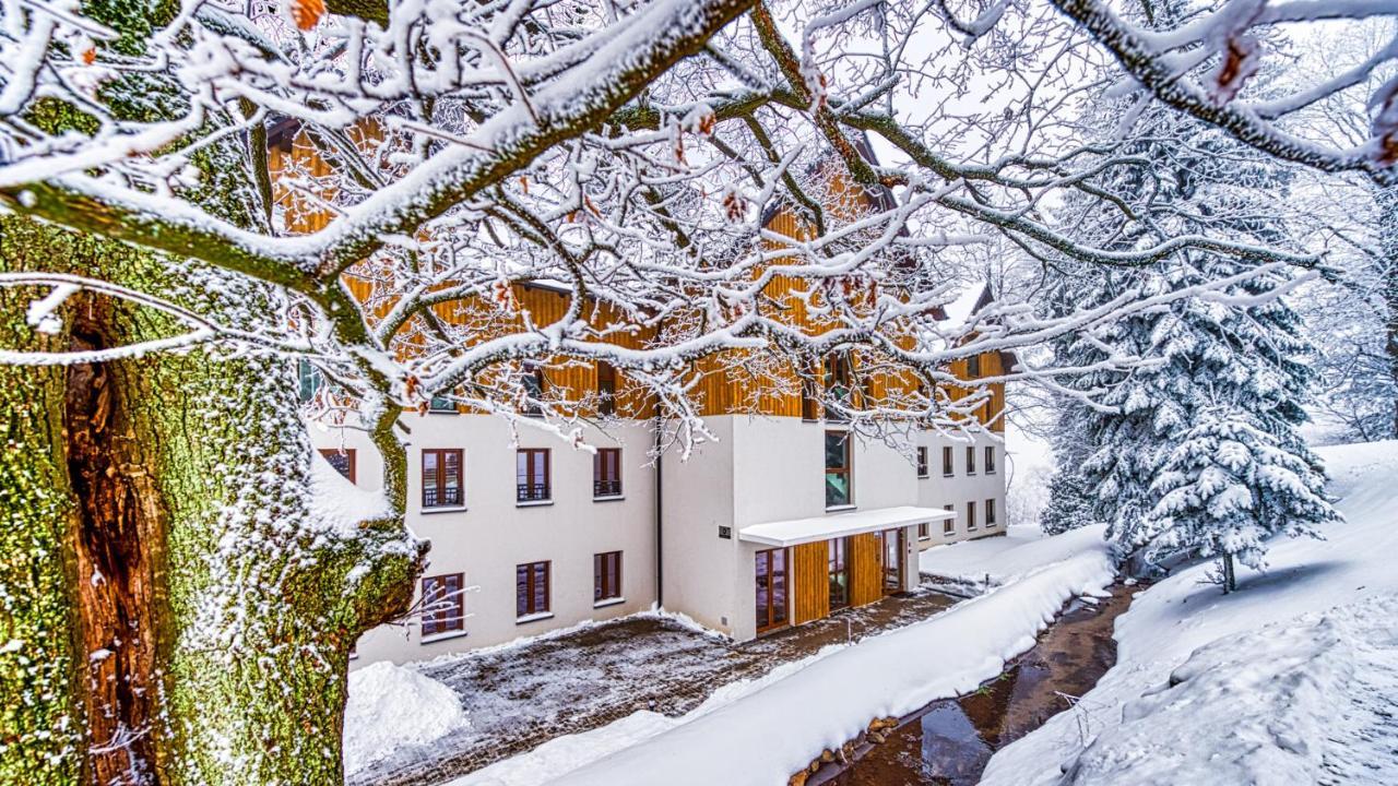 Apartament D19 Z Basenem, Sauna, Jacuzzi Green Park Resort - 5D Apartments Шклярска-Поремба Экстерьер фото